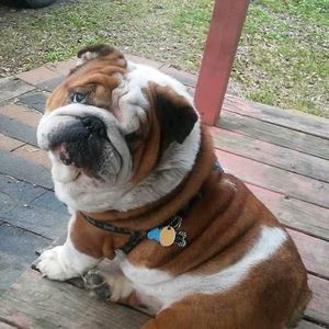 Meet your Posher, Anthony ortego